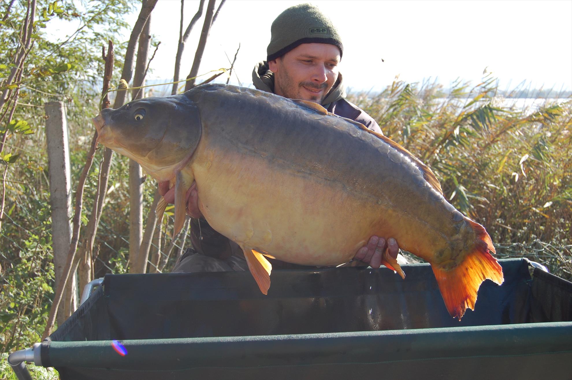 final de sezon 2015  - 22,3 kg